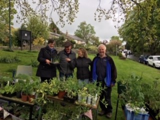 Allotments