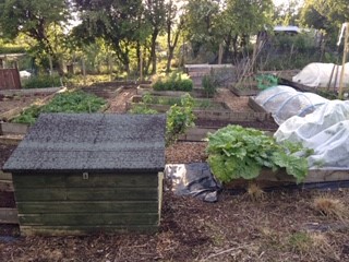 Allotments