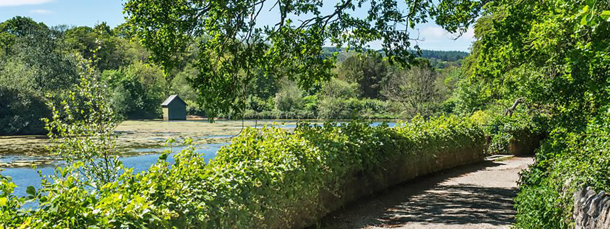 Riverside Walk